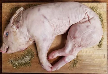 Suckling Pig (Cochinillo) | Domestic - Meat N' Bone