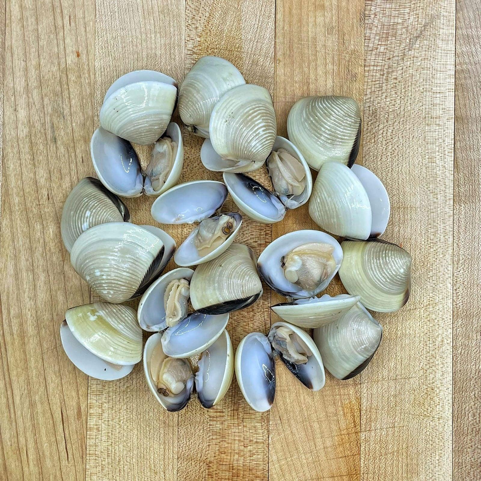 Vietnamese Whole Clams | U11-16 - Meat N' Bone