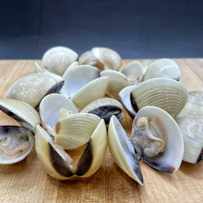 Vietnamese Whole Clams | U11-16 - Meat N' Bone