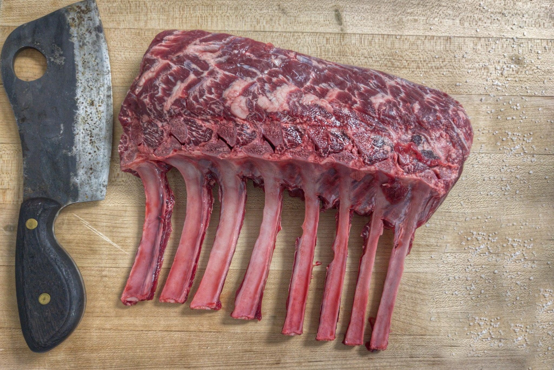 Wapiti Elk Rib Rack | Frenched - Meat N' Bone