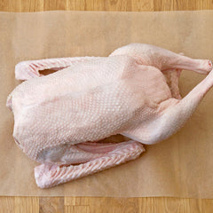 Whole Goose | Domestic Embden Geese